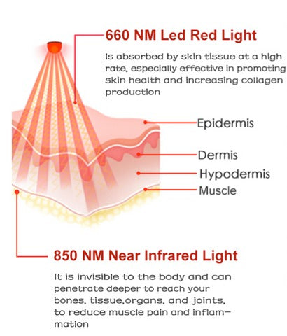 The Inch-inerator® Red Light Belt